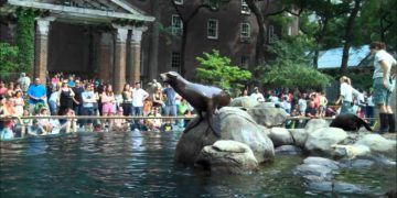 Family memberships can save you money at zoos and other cultural attractions.