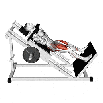 Hackenschmidt Kniebeuge breiter Stand