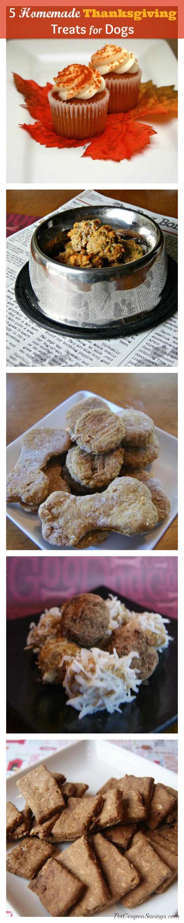 5 Homemade Thanksgiving Treats for Dogs