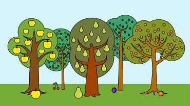Pourquoi et comment faire la taille d’un arbre fruitier (pommier, poirier, cerisier, abricotier, etc.) ?