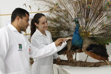 QUEM TRABALHA COM CIÊNCIAS BIOLÓGICAS