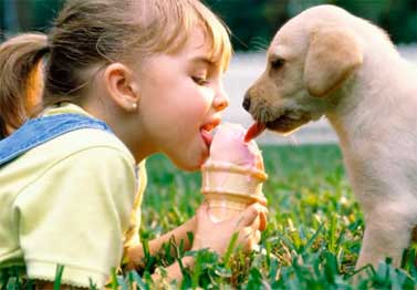 SORVETE PARA CACHORROS