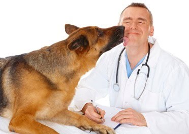 TIPOS DE EMPREGO PARA QUEM FAZ MEDICINA VETERINÁRIA