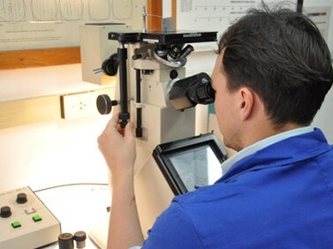 CARACTERÍSTICAS DE PROFISSIONAIS DE ENGENHARIA DE MATERIAIS