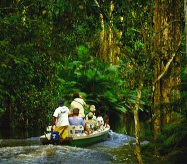 DICAS DE VIAGEM PARA AMAZÔNIA