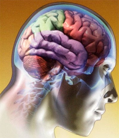 EXERCITAR A MEMÓRIA - DICAS DE COMO AUMENTAR A MEMÓRIA HUMANA