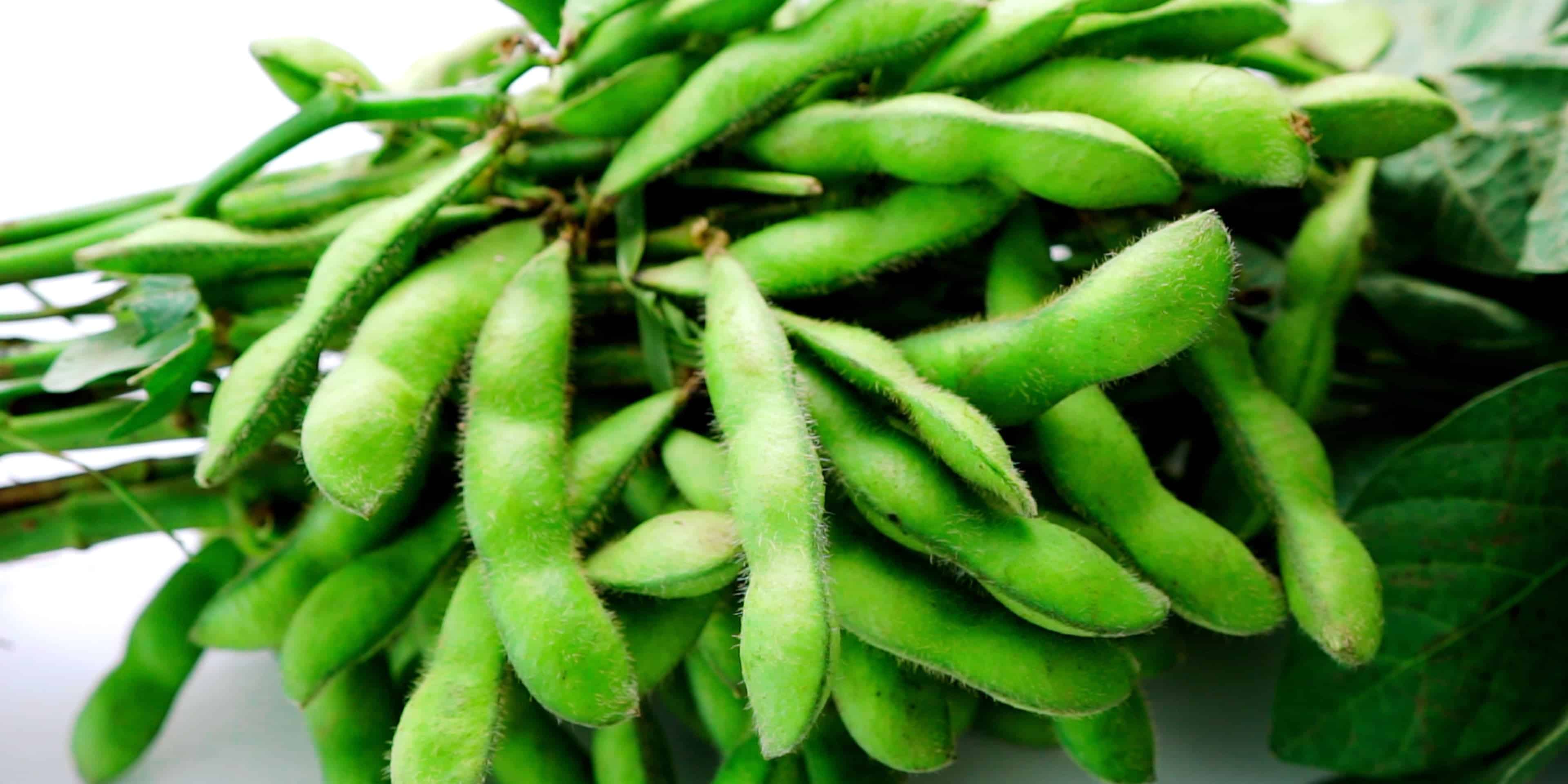 Edamame Nutrition Health Benefits And Edamame Recipes