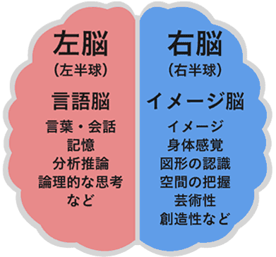 女心がわからない 男女の脳の違いを徹底比較 永久保存版 Love Game