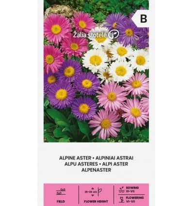 Alpi aster segu