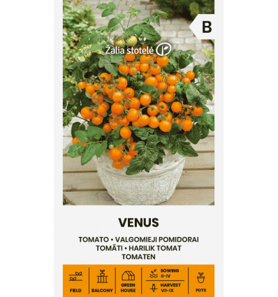 Tomat "Venus"