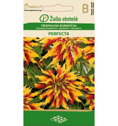 Kolmevärviline rebashein "Perfecta"
