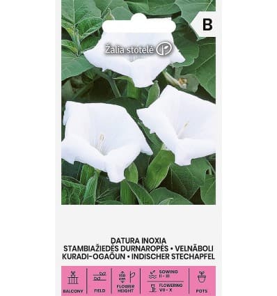 Kuradi ogaõun valge