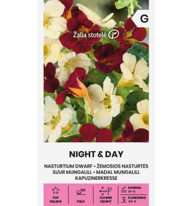Suur mungalill "Night and Day"
