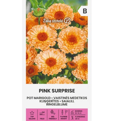 Saialill "Pink Surprise"