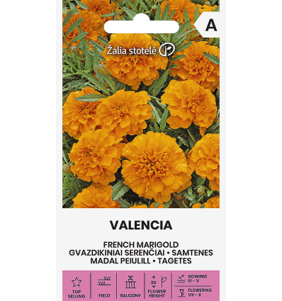 Peiulill "Valencia"