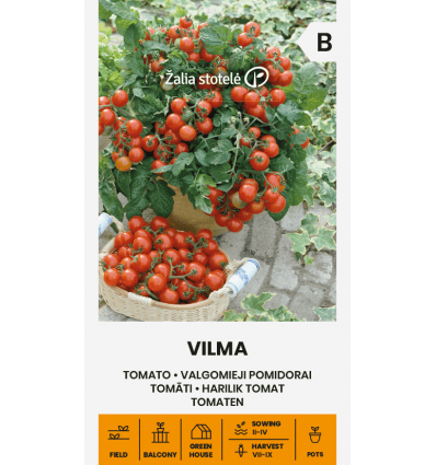 Tomat "Vilma"