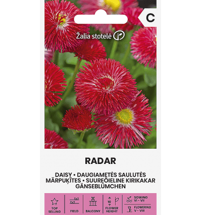 Harilik kirikakar "Radar"