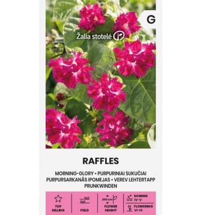 Lehtertapp "Raffles"