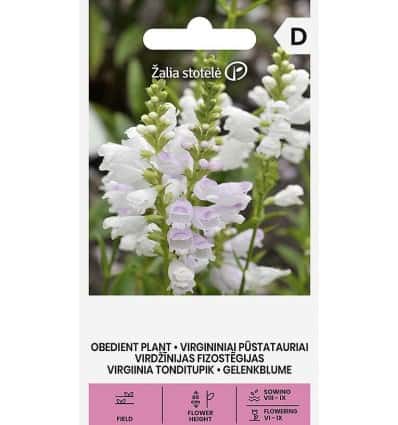 Virgiinia tonditupik valge