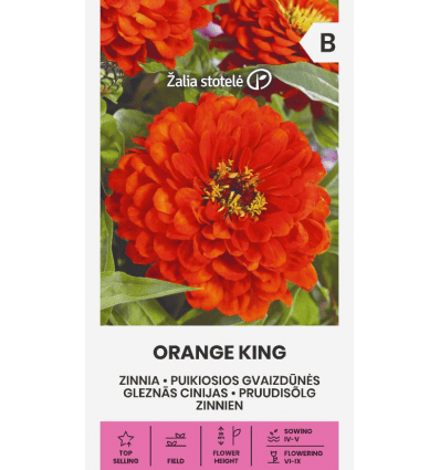 Harilik pruudisõlg "Orange King"