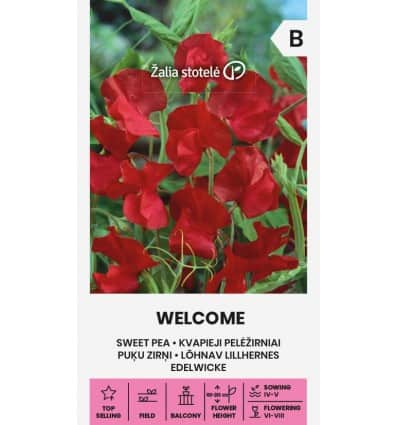 Lõhnav lillhernes "Welcome"