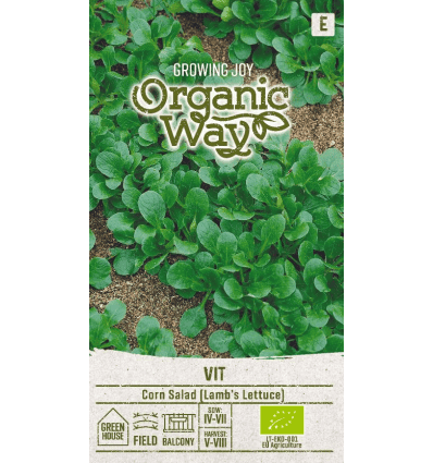 Põldkännak ehk lambasalat