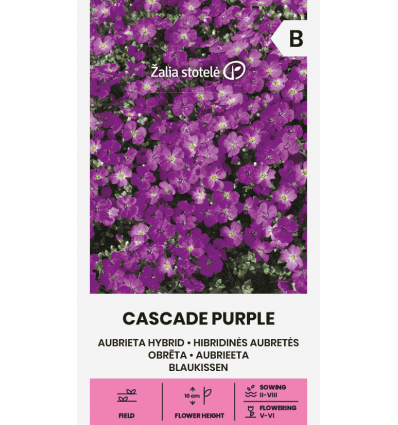 Aed-aubrieeta "Cascade Purple"