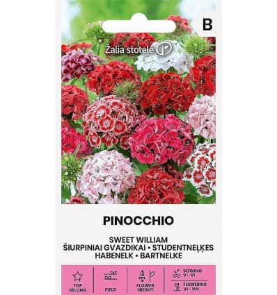 Habenelk "Pinocchio"
