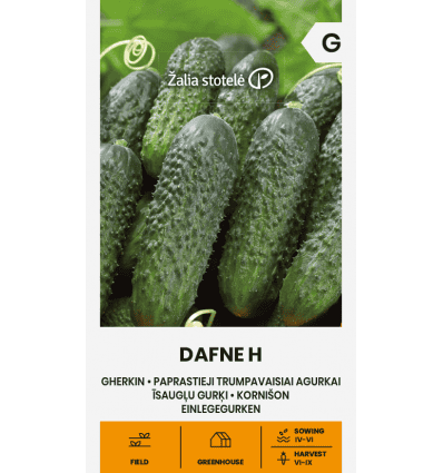 Avamaakurk "Dafne" F1