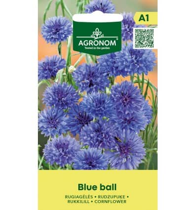 Rukkilill "Blue Ball"