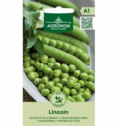Aedhernes  "Lincoln"