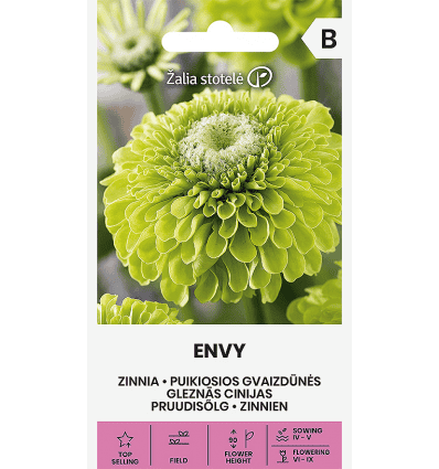 Harilik pruudisõlg "Envy"