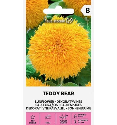 Harilik päevalill "Teddy Bear"