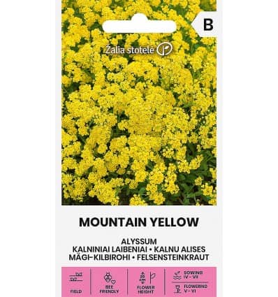 Mägi-kilbirohi "Mountain Yellow"