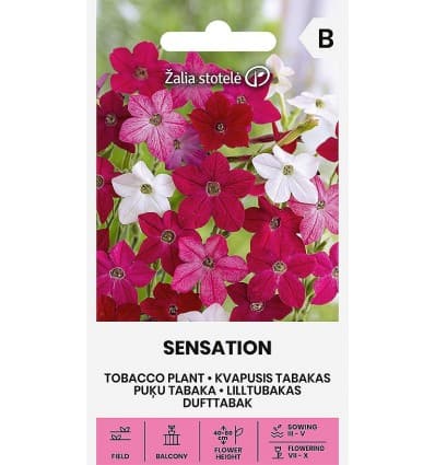Lõhnav tubakas "Sensation"