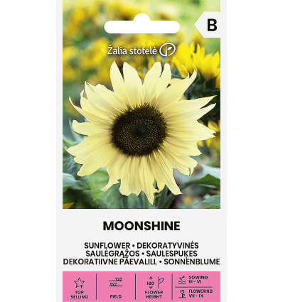 Päevalill "Moonshine"