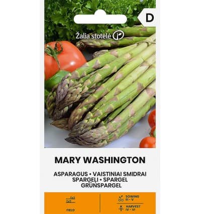 Spargel "Mary Washington"