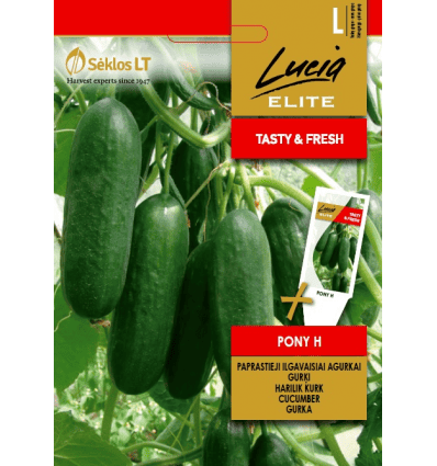 Kasvuhoonekurk "Pony" F1