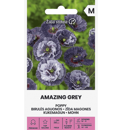 Kukemagun "Amazing Grey"