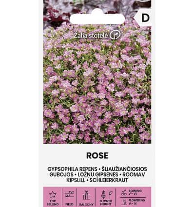Roomav kipslill "Rose"