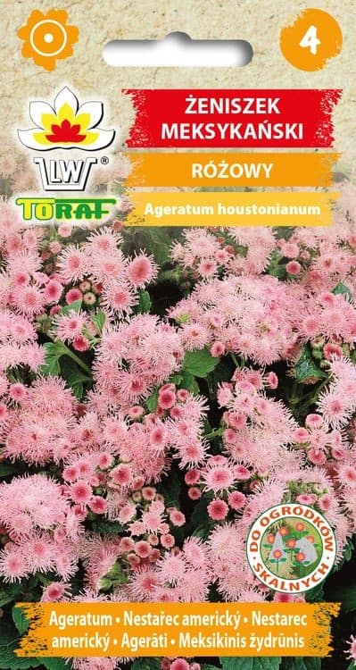 Mehhiko päsmaslill roosa