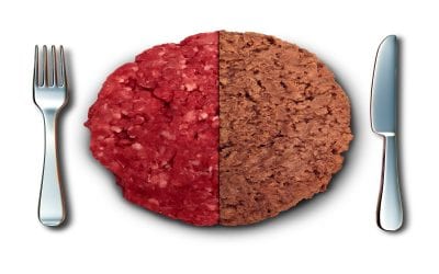 Fake Food – No Thanks