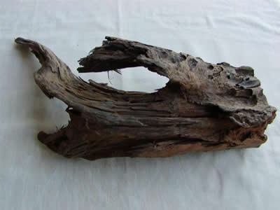 Medium Driftwood