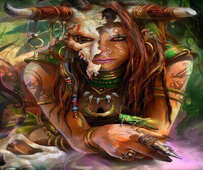 Shaman, Rôle du chaman