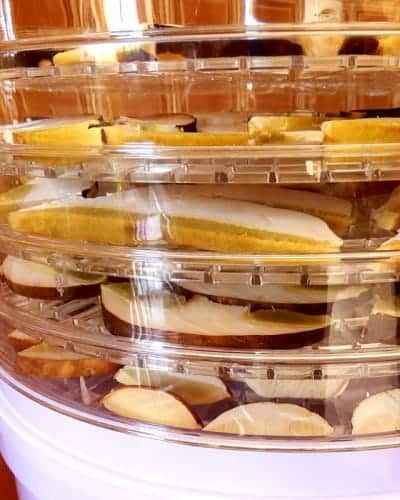 Introduction to Dehydrating food