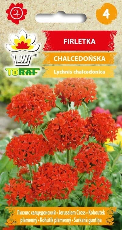 Loitev tulinelk "Red"