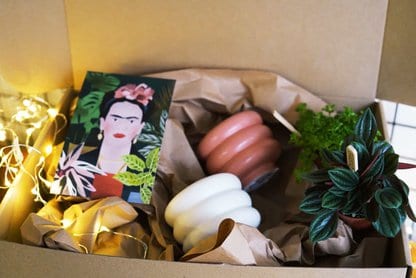 Świąteczny zestaw roślinny 'Bubble' Świąteczny zestaw roślinny 'Bubble'