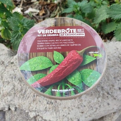 Kit de siembra POT Ají cacho cabra