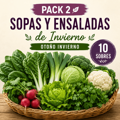 Pack 2 — Pack Sopas y Ensaladas de Invierno
