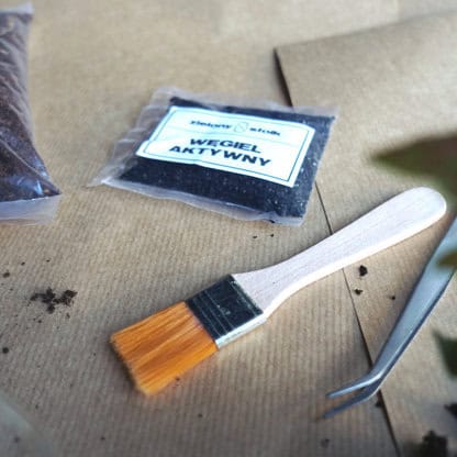 miniaturowy ogród w cylindrze